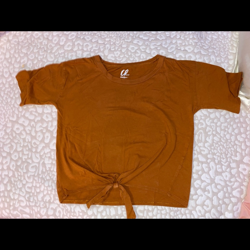 Rust colored cropped short sleeve tee with tie in the front